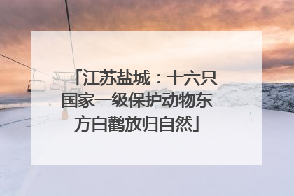 江苏盐城：十六只国家一级保护动物东方白鹳放归自然
