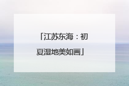 江苏东海：初夏湿地美如画