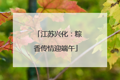 江苏兴化：粽香传情迎端午