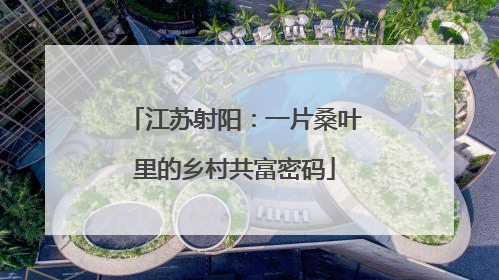 江苏射阳：一片桑叶里的乡村共富密码
