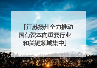 江苏扬州全力推动国有资本向重要行业和关键领域集中