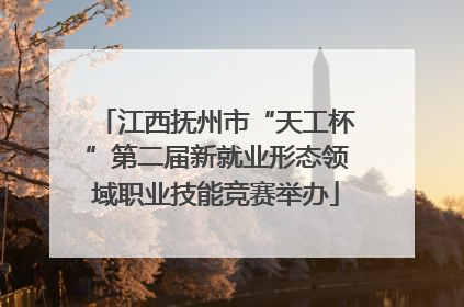 江西抚州市“天工杯”第二届新就业形态领域职业技能竞赛举办