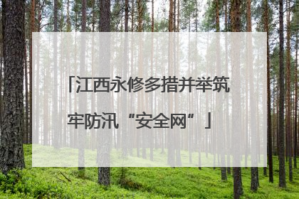 江西永修多措并举筑牢防汛“安全网”