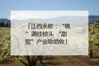 江西永修：“桃”满挂枝头 “甜蜜”产业助增收