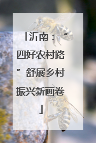 沂南：“四好农村路”舒展乡村振兴新画卷