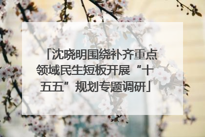 沈晓明围绕补齐重点领域民生短板开展“十五五”规划专题调研