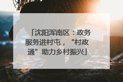 沈阳浑南区：政务服务进村屯，“村政通”助力乡村振兴