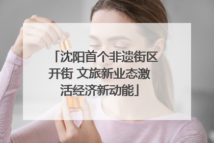 沈阳首个非遗街区开街 文旅新业态激活经济新动能