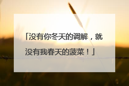 没有你冬天的调解，就没有我春天的菠菜！
