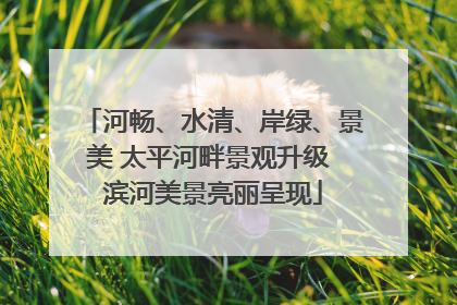 河畅、水清、岸绿、景美 太平河畔景观升级 滨河美景亮丽呈现