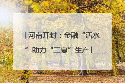 河南开封：金融“活水”助力“三夏”生产