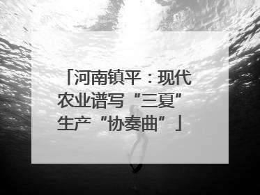 河南镇平：现代农业谱写“三夏”生产“协奏曲”
