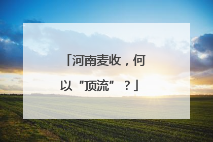 河南麦收，何以“顶流”？
