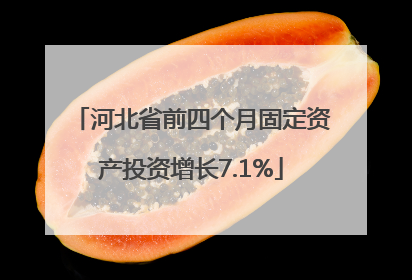 河北省前四个月固定资产投资增长7.1%