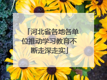 河北省各地各单位推动学习教育不断走深走实