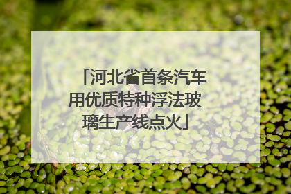 河北省首条汽车用优质特种浮法玻璃生产线点火