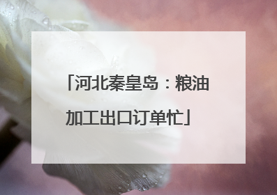 河北秦皇岛：粮油加工出口订单忙