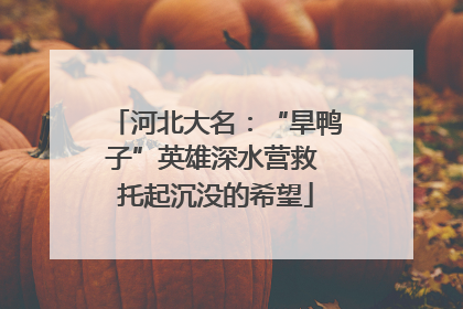 河北大名：“旱鸭子”英雄深水营救 托起沉没的希望
