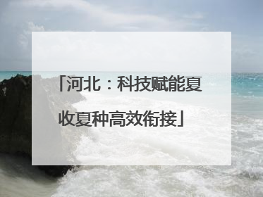 河北：科技赋能夏收夏种高效衔接