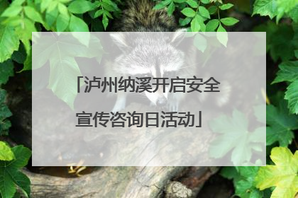 泸州纳溪开启安全宣传咨询日活动