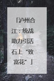 泸州合江：统战助力引活石上“致富花”
