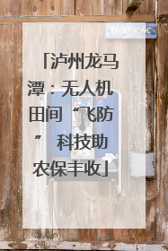 泸州龙马潭：无人机田间“飞防” 科技助农保丰收