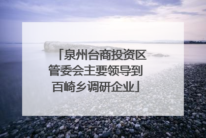 泉州台商投资区管委会主要领导到百崎乡调研企业