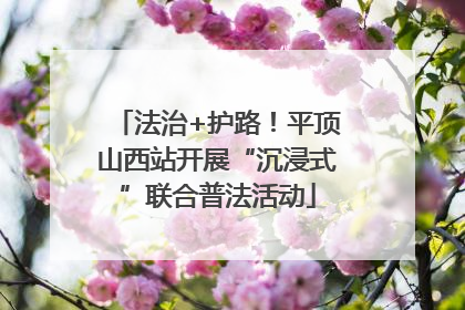 法治+护路！平顶山西站开展“沉浸式”联合普法活动
