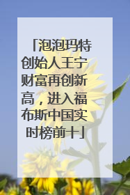 泡泡玛特创始人王宁财富再创新高，进入福布斯中国实时榜前十