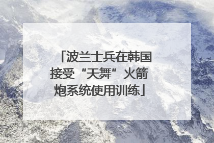 波兰士兵在韩国接受“天舞”火箭炮系统使用训练