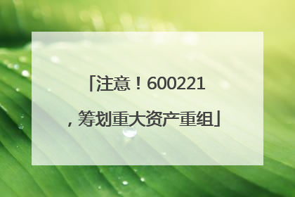 注意！600221，筹划重大资产重组