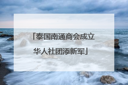 泰国南通商会成立 华人社团添新军