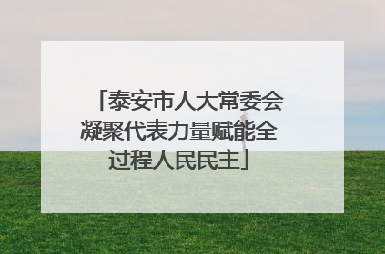 泰安市人大常委会凝聚代表力量赋能全过程人民民主