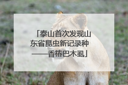泰山首次发现山东省昆虫新记录种——香椿巴木虱