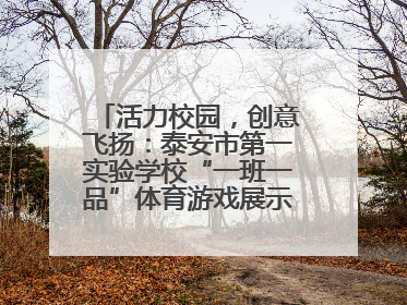 活力校园，创意飞扬：泰安市第一实验学校“一班一品”体育游戏展示精彩纷呈