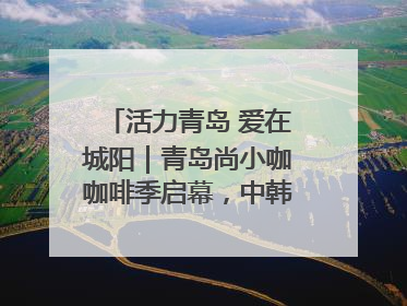 活力青岛 爱在城阳｜青岛尚小咖咖啡季启幕，中韩消费新场景点燃夏日热情