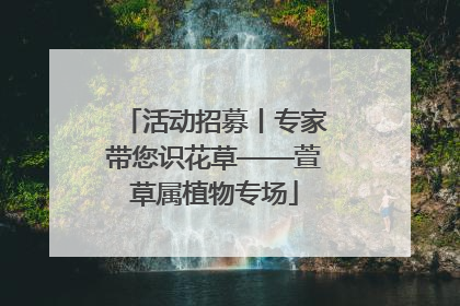 活动招募丨专家带您识花草——萱草属植物专场