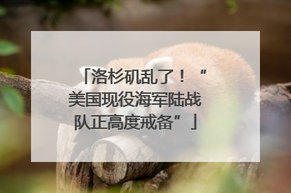 洛杉矶乱了！“美国现役海军陆战队正高度戒备”
