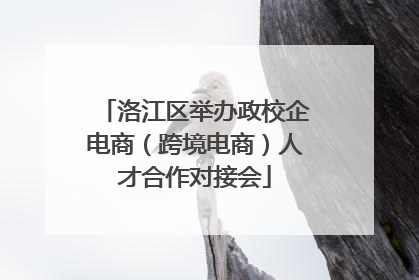 洛江区举办政校企电商（跨境电商）人才合作对接会