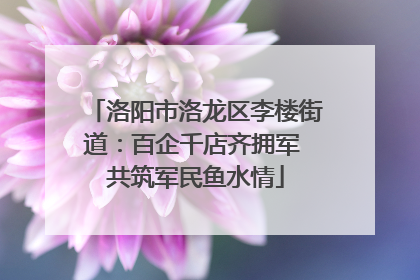 洛阳市洛龙区李楼街道：百企千店齐拥军 共筑军民鱼水情
