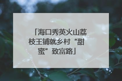 海口秀英火山荔枝王铺就乡村“甜蜜”致富路