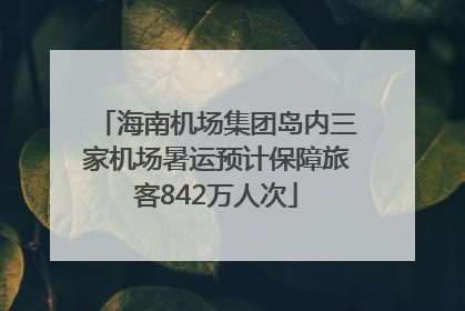 海南机场集团岛内三家机场暑运预计保障旅客842万人次