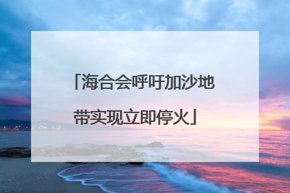 海合会呼吁加沙地带实现立即停火