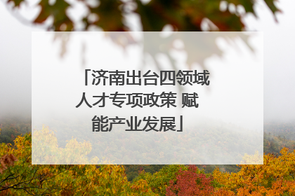 济南出台四领域人才专项政策 赋能产业发展