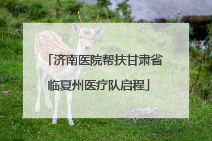 济南医院帮扶甘肃省临夏州医疗队启程