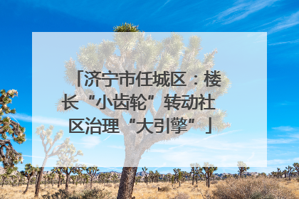济宁市任城区：楼长“小齿轮”转动社区治理“大引擎”
