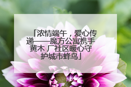 浓情端午，爱心传递——魔方公寓携手黄木 厂社区暖心守护城市蜂鸟