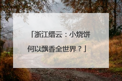 浙江缙云：小烧饼何以飘香全世界？