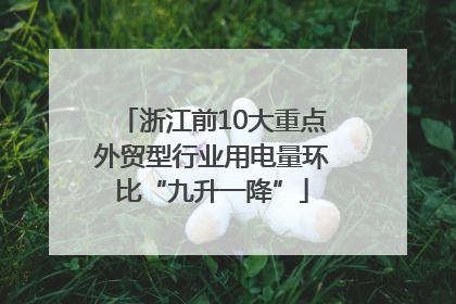 浙江前10大重点外贸型行业用电量环比“九升一降”