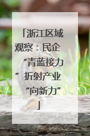 浙江区域观察：民企“青蓝接力”折射产业“向新力”